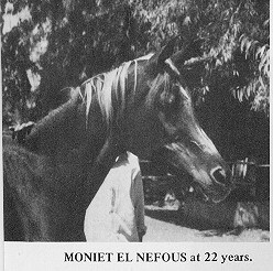 Moniet_el_Nefous4.jpg - 26250 Bytes