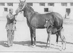 Wanisa.jpg - 8006 Bytes