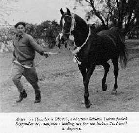 anter2.jpg - 17132 Bytes